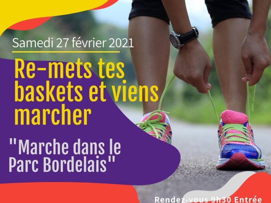 Showroom Automobile 2026