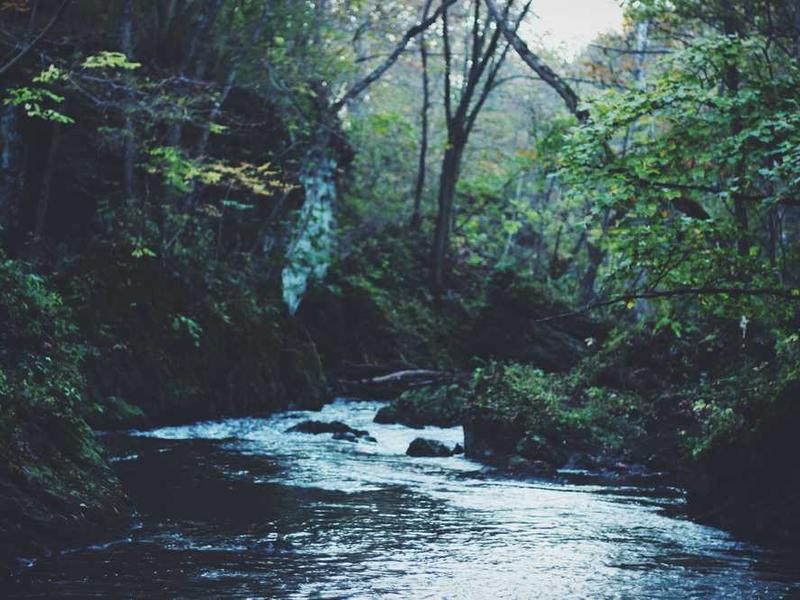 Atelier Développement Web 2025