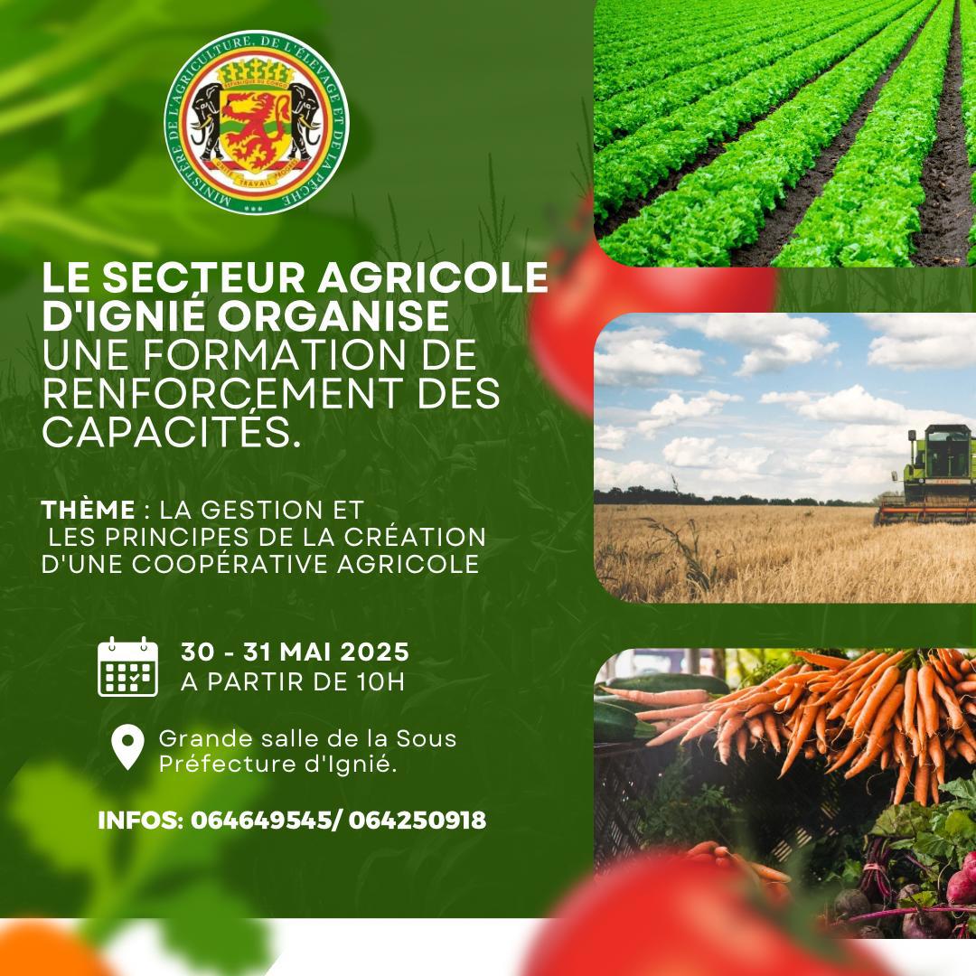 Défilé de Mode 2025