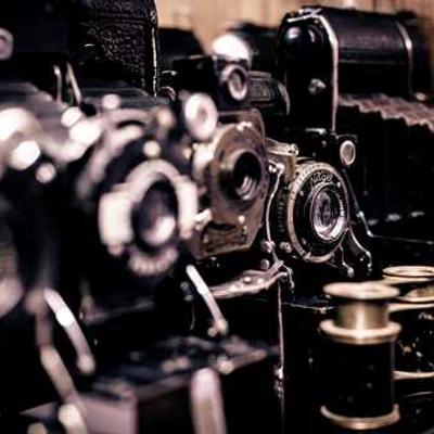 Marchand Loiseau SAS